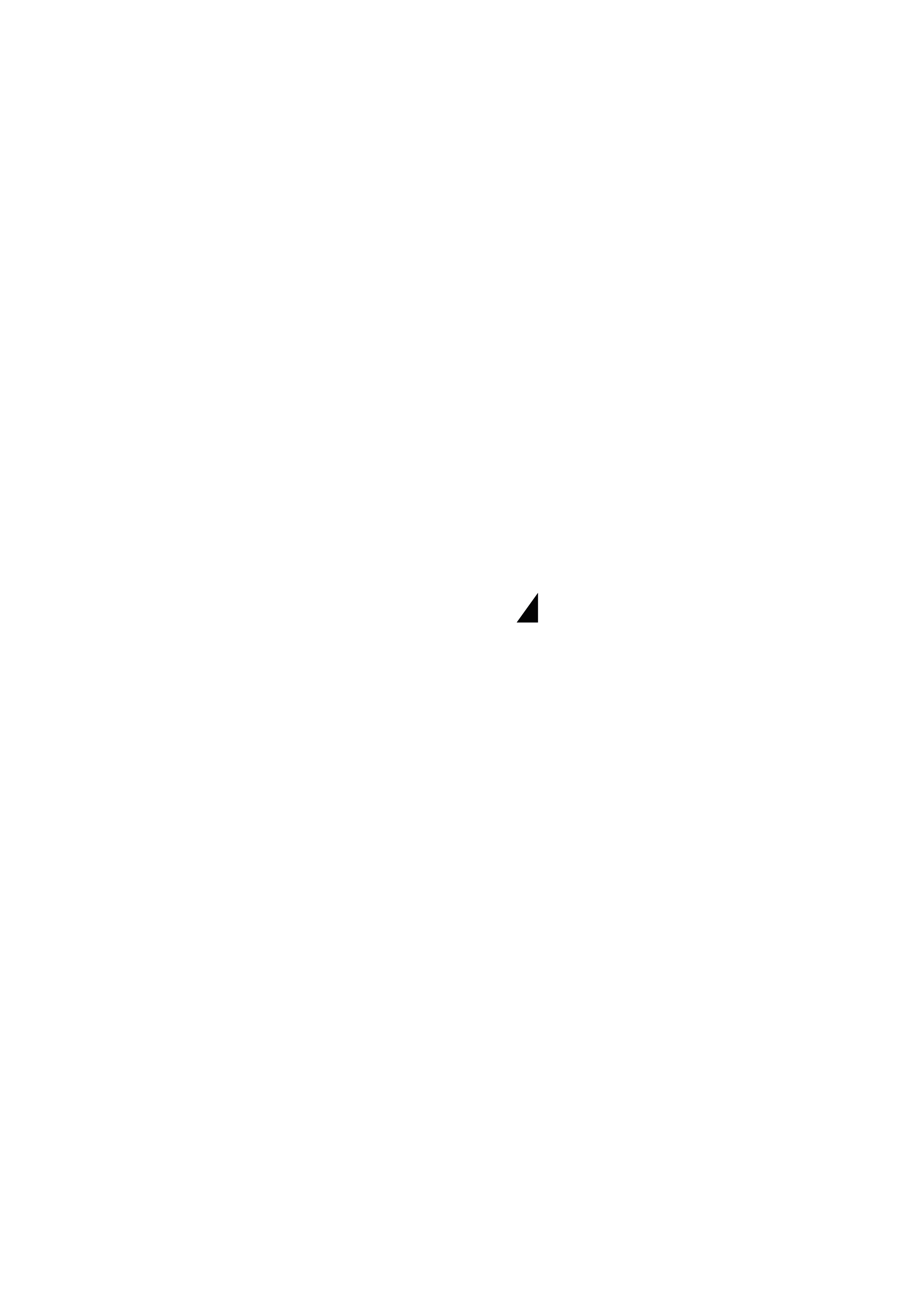Kabel Security